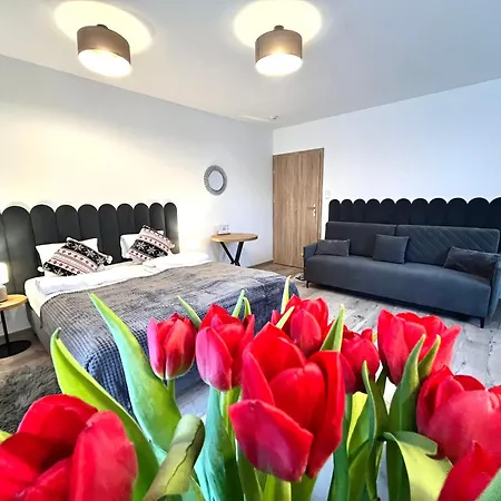 Karkonoskie Widoki 3* 카르파츠