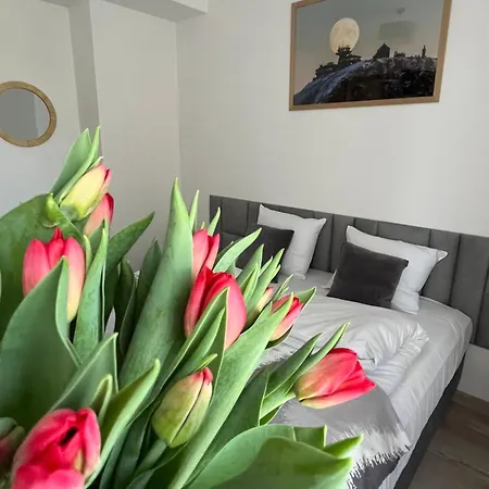 Karkonoskie Widoki *