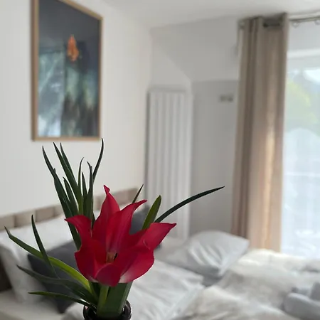 Karkonoskie Widoki Апарт-отель