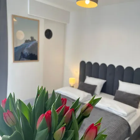 Karkonoskie Widoki Aparthotel *