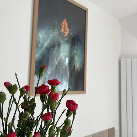 Апарт-отель Karkonoskie Widoki 3*