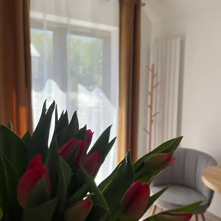 Karkonoskie Widoki 3* 카르파츠