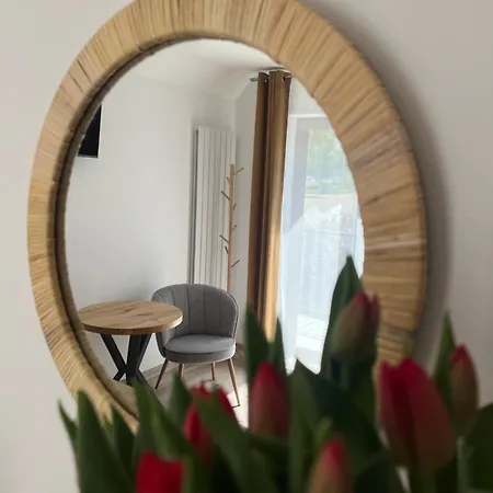 Апарт-отель Karkonoskie Widoki