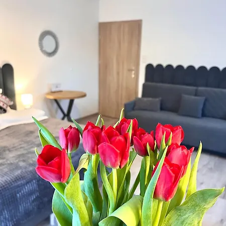 Karkonoskie Widoki Aparthotel Karpacz