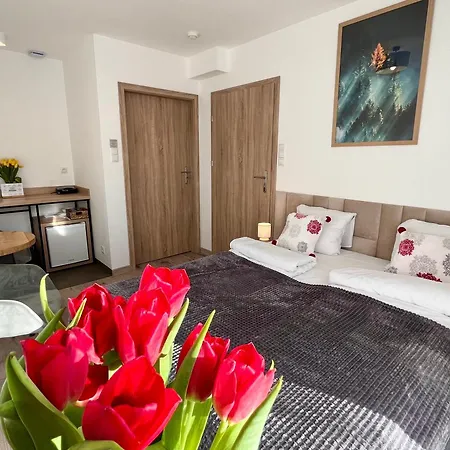 Karkonoskie Widoki Aparthotel