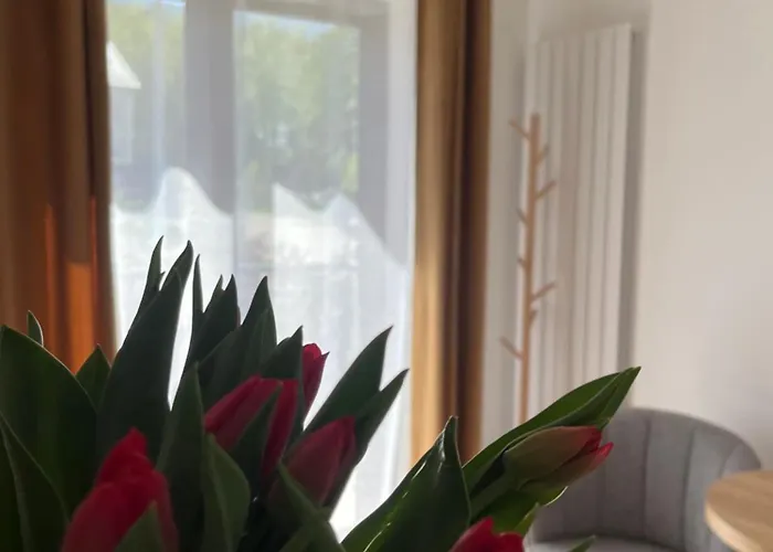 Karkonoskie Widoki 3* Karpacz